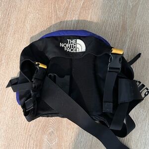 The North Face Black and Purple Belt Bag